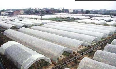 重大突破!二氧化碳变石油产品已量产
