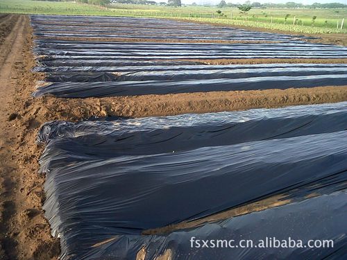 本工厂大量供应各种超低价农用薄膜, 塑料膜,农用膜,保温膜,pe膜 地膜