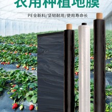 液态地膜 农用地膜的绿色变革与未来之路